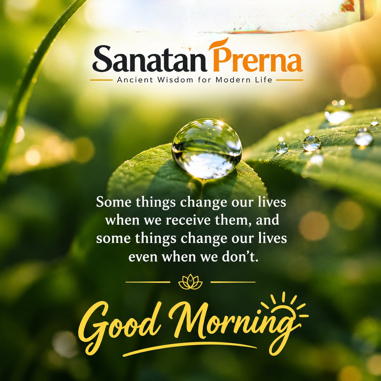 Today's Thought