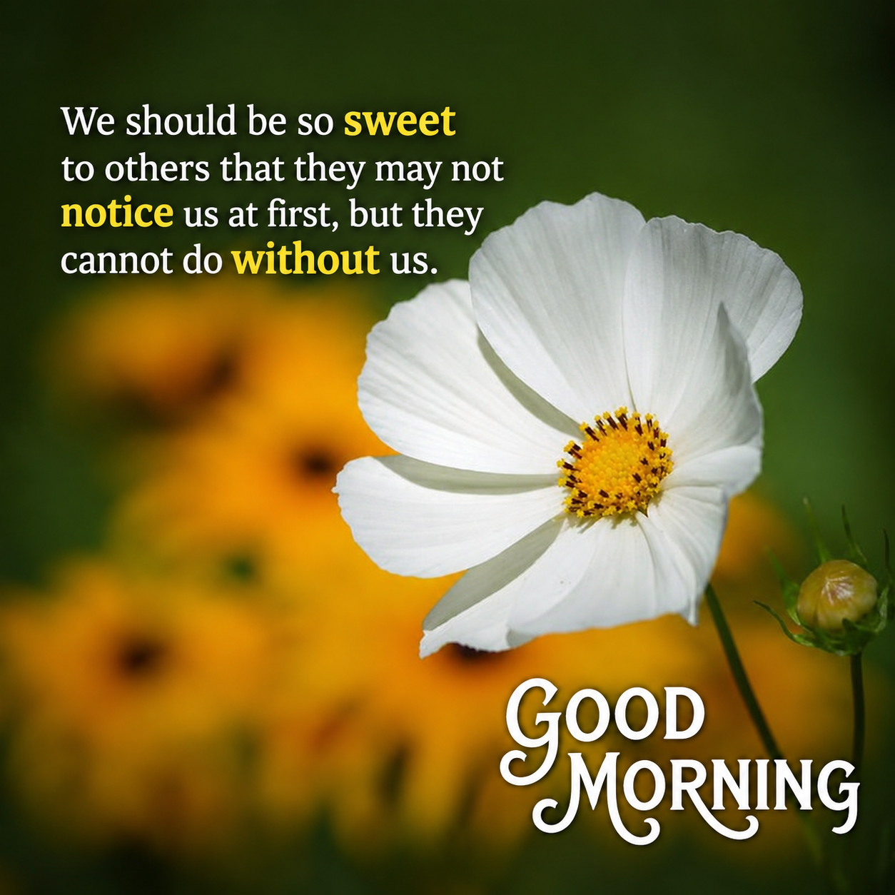 Today's Thought
